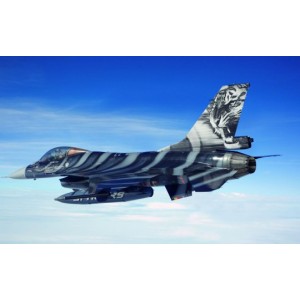 Nato Tiger Meet ''60TH anniversary'' Tornado IDS / F-16 MLU ''Geschenkset''
